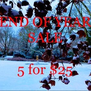 5 FOR $25 END OF YEAR SALE